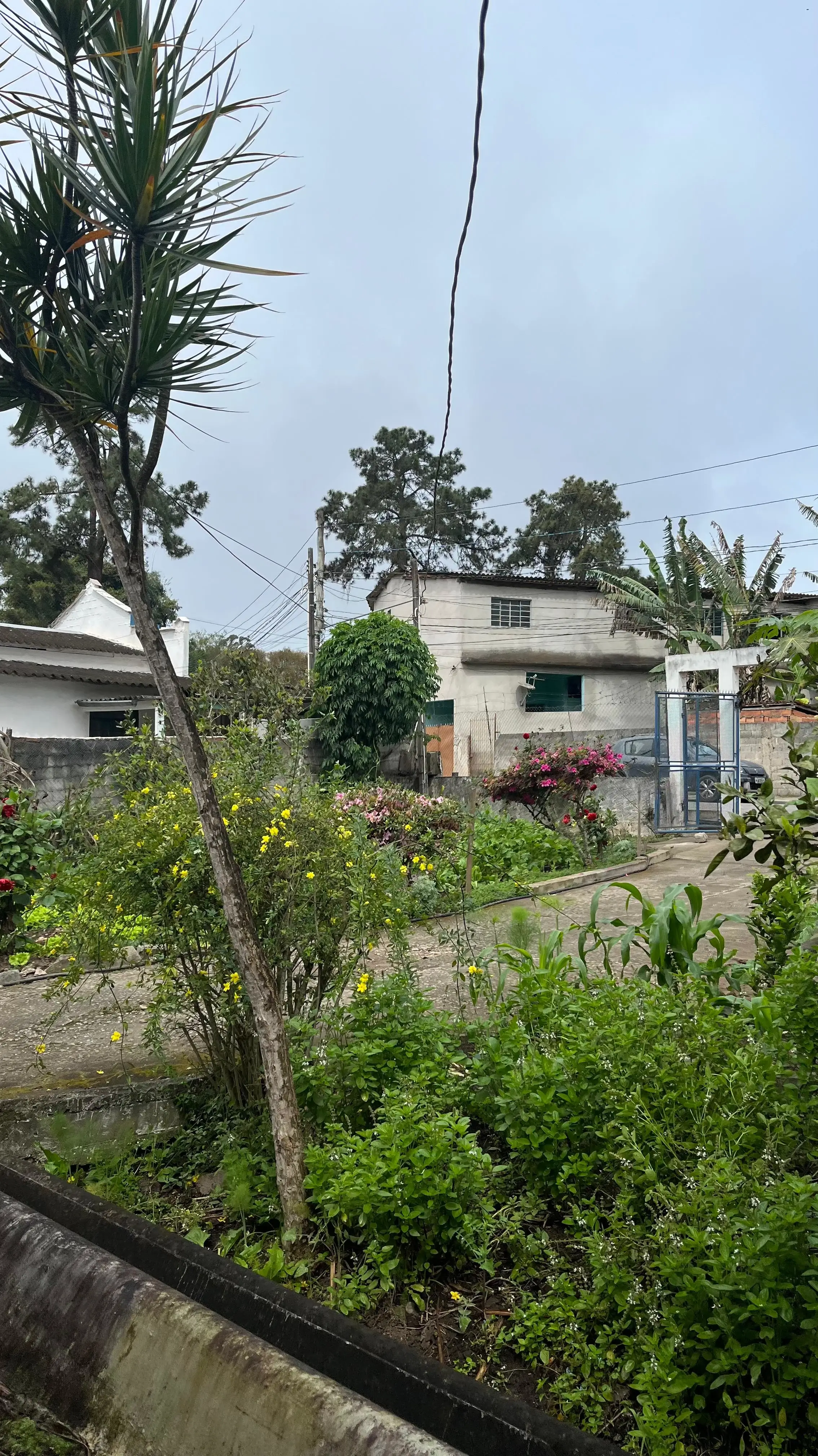 Foto de Chácara Santo Amaro