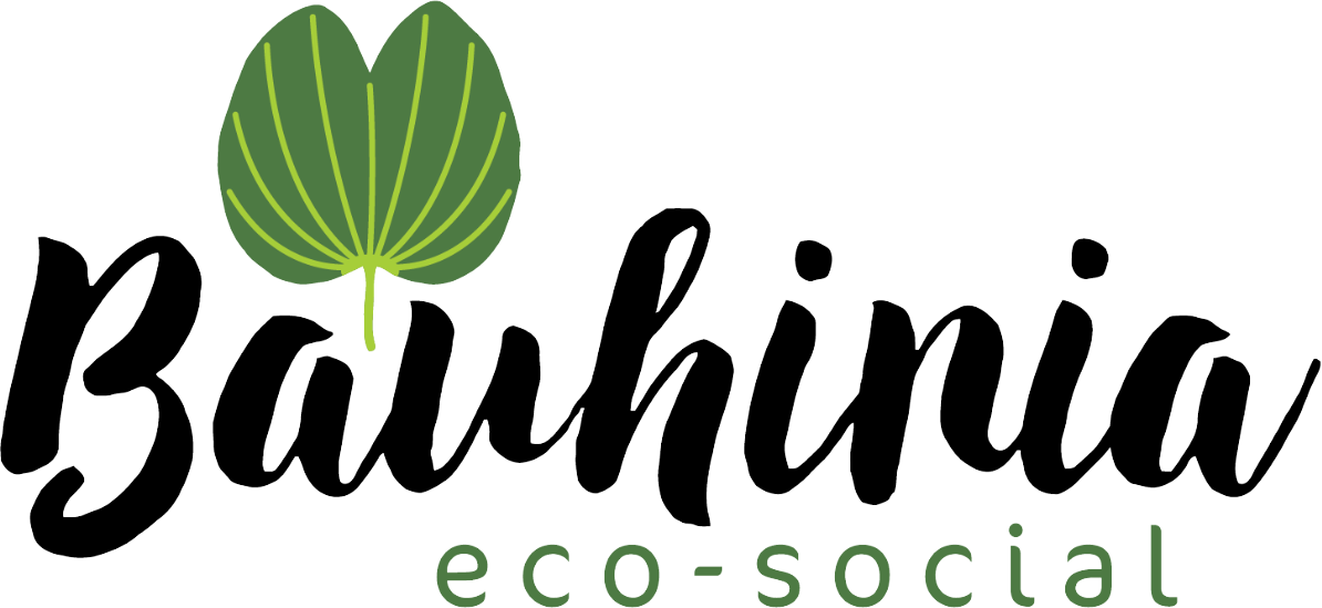 Logo Bauhinia eco-social