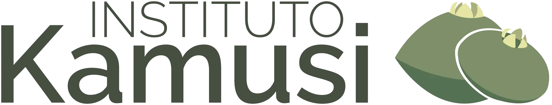 Instituto Kamusi