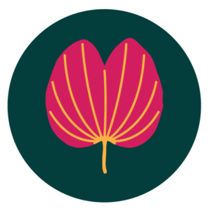 Picture of por Bauhinia